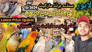 Lahore Sunday Birds Market  Latest Price Update  Aj Bohot Hi kam Rate Tha Must Watch Video birds [upl. by Nirehtak]