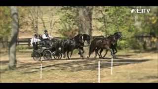 Alltech FEI WEG 2014  Trailer [upl. by Cope]