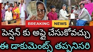 పెన్షన్ కు అప్లై చేసుకోవచ్చుఈ డాక్యూమెంట్స్ తప్పనిసరిApplication For New Pensions [upl. by Alessandra]