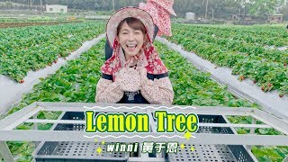 Lemon Tree Cover By 黃于恩 溫妮 [upl. by Lasiaf777]