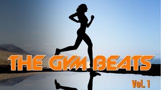 THE GYM BEATS Vol1 NonstopMegamix BEST WORKOUT MUSICFITNESSMOTIVATIONSPORTSAEROBICCARDIO [upl. by Hoebart]