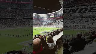 Allianz Arena gegen Niederlande 141024 [upl. by Aihk]