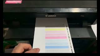 This is a test print video of this particular product QY60082 as sent directly from the supplier [upl. by Wrench]