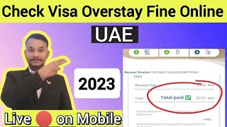 Check Visa Overstay Fine in UAE  How to check Visa Overstay Fine in dubai  visaoverstayfinedubai [upl. by Anelhtak]