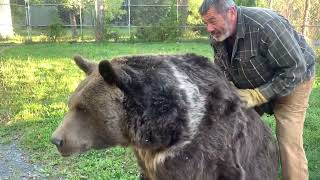 A Bond Beyond the Wild The Story of Jim Susan and Leo the Bear [upl. by Rankin804]