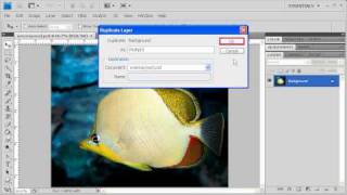 25 Fixing an Overexposed Image Adobe Photoshop CS4 video [upl. by Aileon]