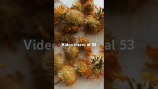 Infuso di arnica alcolico naturale arnica antidolorifico [upl. by Alesig261]