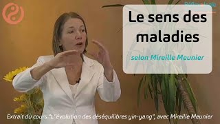 Le sens des maladies ou les maladies révèlentelles nos difficultés intérieures [upl. by Prissie516]