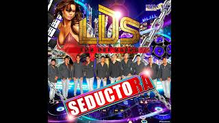 Los Del Sabor · Cumbia Suavecita [upl. by Oirramed645]