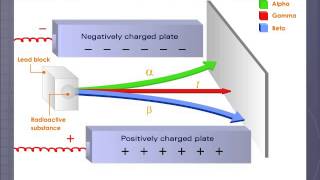 Alpha Beta and Gamma Radiations [upl. by Mauralia]