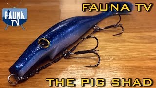 Fauna TV  The Pig Shad [upl. by Sarkaria]