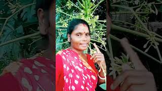 Champa kora 🙏🙏👍👍🙏🙏🙏❤️ plz subscribe [upl. by Sauncho203]