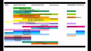 Antibiotic Coverage Made Easy  USMLE  COMLEX [upl. by Lednar]