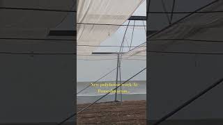 New polyhouse Irrigation system Fogger agriculture trending rameshwaram polyhouse farming [upl. by Vivia]