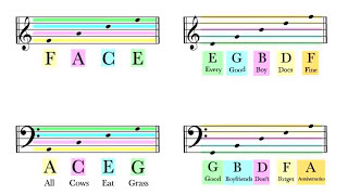 How To Read Notes On The Staff  EASY  Music Theory Tutorial [upl. by Indira]