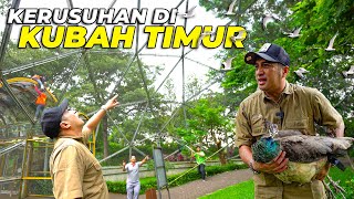 3 TERPONTANGPANTING MENANGKAP BURUNG DI DALAM KUBAH TIMUR TAMAN BURUNG TMII [upl. by Vtarj]