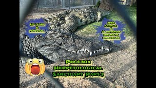 Phoenix Herpetological Sanctuary Part1Up close amp personal2000 animals amp 22 species of crocodile🐊 [upl. by Akirderf]