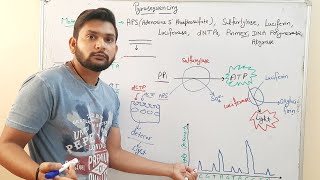 PyrosequencingDNA Sequencingin Hindi [upl. by Malilliw]