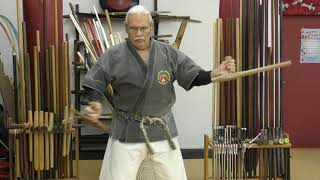 TMAI Kobudo Extreme Tonfa Training [upl. by Gustaf]