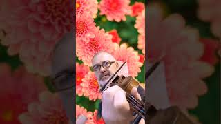 TILL MY HEARTACHES END  Ella Mae Saison  violin Fima B [upl. by Pius]