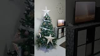 Our Family Christmas Tree🌲❄️ [upl. by Rolyt]