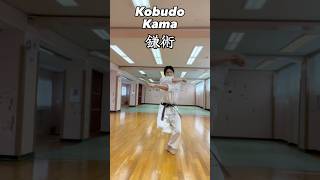 🐉Kama Jutsu  Ryukyu Kobudo 鎌術 okinawakobudo 琉球古武道 kobudo [upl. by Teodoro466]