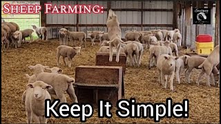 Sheep Farming How To Be More Profitable With Sheep  Keep It Simple [upl. by Ativel619]