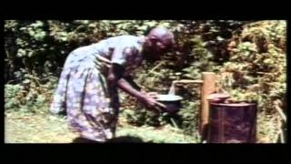 Documentary Wangari Muta Maathai 1940  2011 [upl. by Ahsuoj]