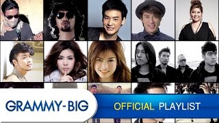 รวมเพลงฮิตฟังสบายๆ  MP3 Hits Playlist Vol4 GRAMMY BIG [upl. by Kcirrek]