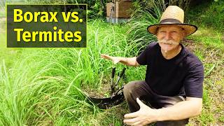 Protect Your Garden from Termites with Borax [upl. by Akeret753]