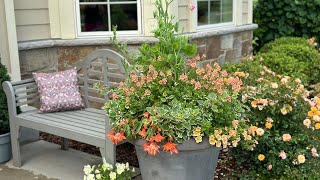 • a few containers  plant highlight 🧡🍑 • pots n planters • garden joy • [upl. by Olympia]