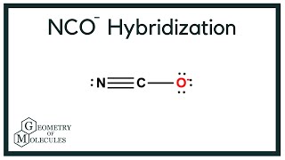 Nucleic acid hybridization  DNA hybridization [upl. by Attwood727]