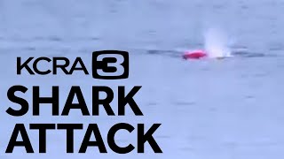 Great White Shark Attacks Kayaker in Monterey Bay California [upl. by Mad381]