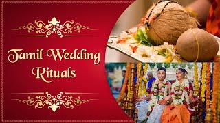 Tamil Wedding Unknown Facts  Tamil Culture amp Traddition Wedding story  Indian Wedding Ritual [upl. by Ellon194]