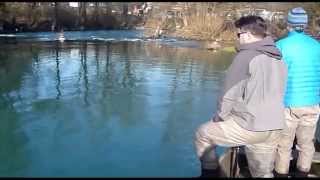 Flyfishing for Huchen  Una River Bosnia [upl. by Jadwiga857]