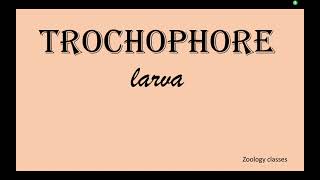 65Trochophore Larva [upl. by Yahska]