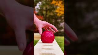 How to Build a DIY Bocce Ball Court  YellaWood [upl. by Williams]