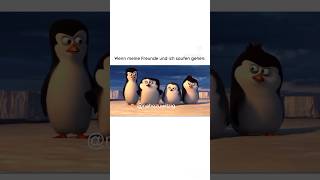 Ein Pinguin erlebt hat memes trend funny youtubeshorts viral fyp madagascar meme46 [upl. by Ailimat]