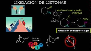 COMO NOMBRAR ALCOHOLES QUE SON PROPIEDADES Y NOMENCLATURA DE ALCOHOLES QUÍMICA CON IRWIN [upl. by Publea516]