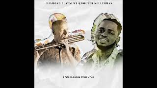 Diamond Platnumz amp Wouter Kellerman  Pounds amp Dollars Lyric Video [upl. by Rochemont278]