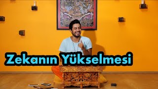 Satsang  Zekanın Yükselmesi [upl. by Terrell182]