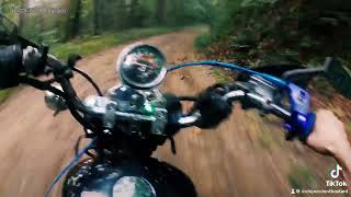 Rebel 250 cmx scrambler group trail ride [upl. by Hervey107]