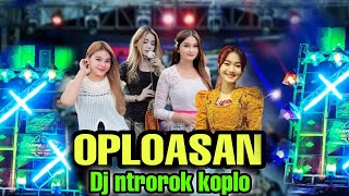 DJ OPLOSAN NTROTOK KOPLOGG MUSIC [upl. by Aleydis]