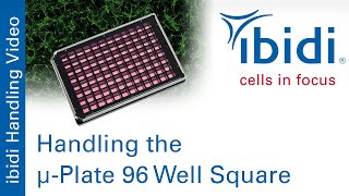 Handling the µPlate 96 Well Square [upl. by Gabbie]