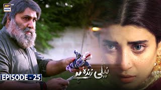 Neeli Zinda Hai Episode 25 Subtitle Eng  23rd September 2021  ARY Digital Drama [upl. by Roberson]