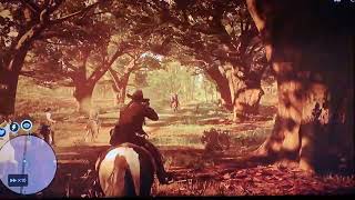 Rdr2 Dark Bay Turkoman Horse rdr2 fyp [upl. by Brittne648]