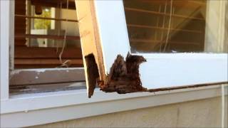 fix wood rot on window framewmv [upl. by Mecke970]