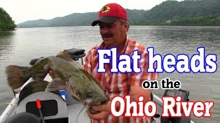 Flathead CATFISHING on the Ohio River [upl. by Benia206]