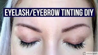 HOW TO TINT YOURE OWN LASHES amp BROWS DIY RefectoCil Review [upl. by Adelina6]