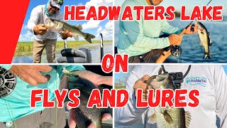 Taking On Bass by Fly Fishing and Lure at Headwaters Lake [upl. by Stolzer]